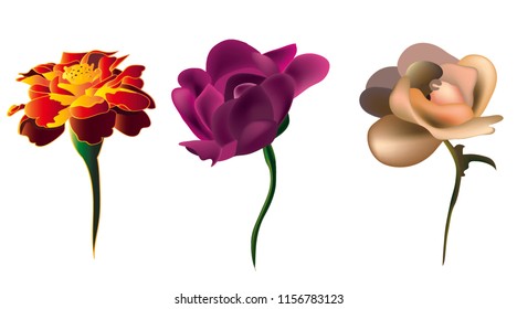 three colored flowers