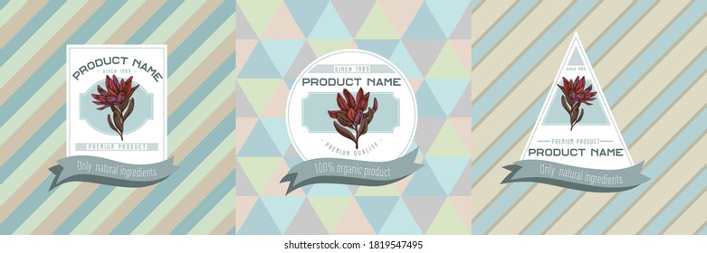 Three colored labels with illustration of leucadendron