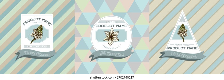 Three colored labels with illustration of ornithogalum