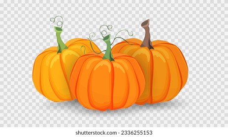 Three colored pumpkins in Halloween day on transparent background , Flat cartoon flat style. illustration Vector EPS 10