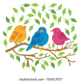 Three Colorful Birds sitting in a tree