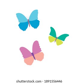 Three colorful butterflies on a white background