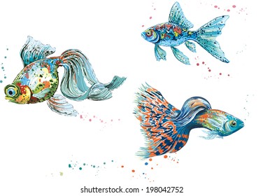 Three colorful fish isolated on white background