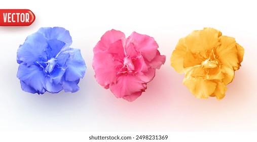 Three colorful flowers in blue pink yellow, isolated on white background. Set of bright flowers in soft pastel colors in realistic design. Stylish buds decor for natural cosmetic. Vector illustration