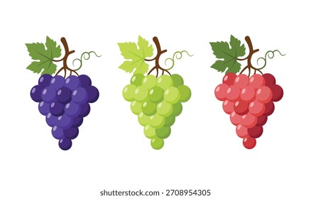 Three Colorful Grape Bunches set