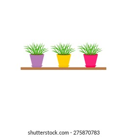 Three colorful pots with growing grass on shelf Icon set Isolated White background Flat design Vector illustration