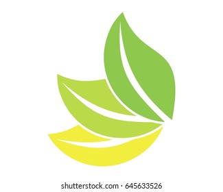 three colour leaf logo design 