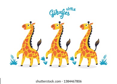 Three comic giraffes are walking one after another color illustration Little giraffes lettering quote. Cute african animal cartoon character. Funny Poster, banner, shirt print on isolated background