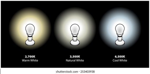 Three common colour temperatures of compact fluorescent CFL or LED bulbs. In warm, natural and cool whites.