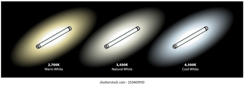 Three common colour temperatures of fluorescent tubes. In warm, natural and cool whites.