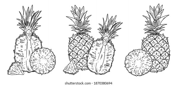 Three compositions of a whole Pineapple and halves of fruit. Black outline image on a white background. Doodle style.
