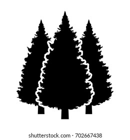 Three conifer pine trees in a forest or park flat vector icon for nature apps and websites