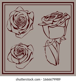 three contour dark red roses on grey background