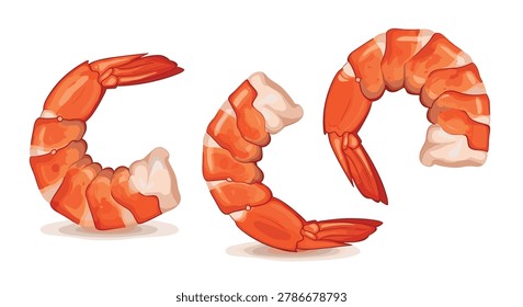 Three cooked and deveined shrimp are curled into a crescent shape showing their pink and white color as a fresh seafood ingredient.