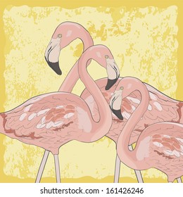 Three cool flamingos standing on the yellow background. Cute fully editable illustration drawn in vector by hand. 