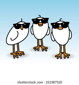 Three Cool White Chicks wearing Sunglasses Staring towards camera on Blue Background