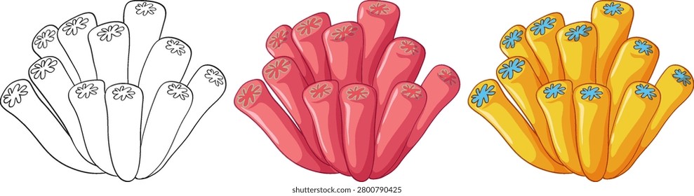 Three coral illustrations including a line drawing, pink version, and yellow version on white background