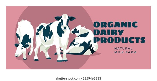 three cows black and white cows on a pink background. Milk advertising dairy products farm advertising. Poster, postcard. Vector flat illustration