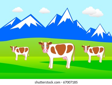 Three cows on the meadow