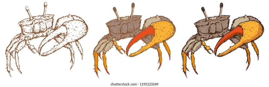 three crabs vector illustration
