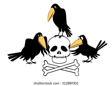 Three crows around a human skull with bones isolated over white.