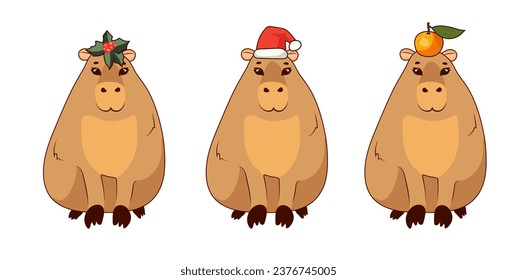 Three Cute capybaras with an orange, mistletoe and a Santa Claus hat on his head stands on a white background, isolate