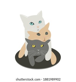 Three cute cats lie on top of each other together. Pets beautiful fluffy animals for fashionable prints on clothes, dishes, textiles. Vector illustration.