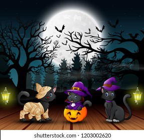 Three cute cats at night time halloween parties