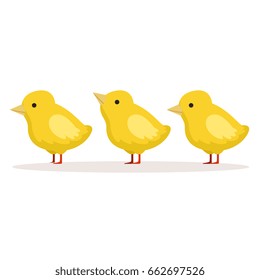 Three cute chickens standing one after another vector Illustration