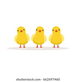 Three cute chickens vector Illustration