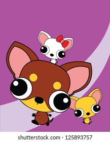 Three cute chihuahuas on background.
