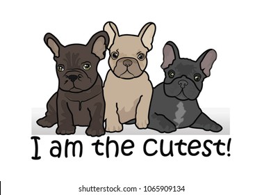 Three cute French Bulldog puppies isolated on a white background. Vector illustration.