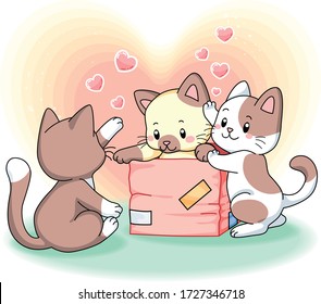 three cute kittens playing together with a box