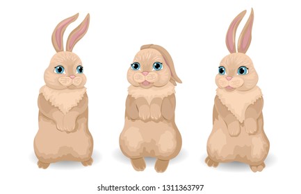 Three cute rabbits or a hare are standing on their hind legs. Smiling and funny. Vector illustration of animals.