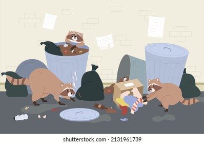 Three cute raccoons looking for food in street garbage containers flat vector illustration