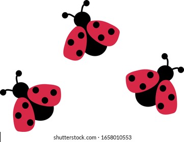 Three cute red and black ladybird bugs