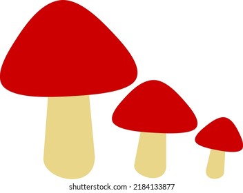Drei süße rote Champignons