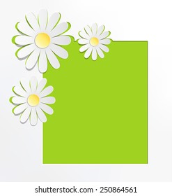 Three cutout chamomiles with frame on grayscale. Floral spring abstract background