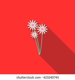 Three daisies icon, flat style