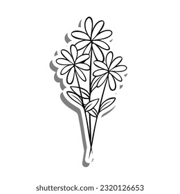 Three Daisy on white silhouette and gray shadow. Vector illustration for decoration or any design.
