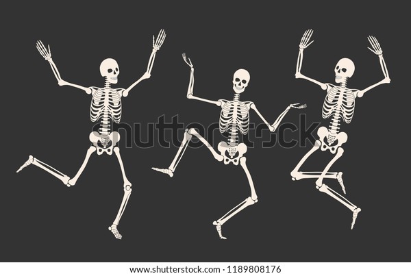 黒い背景に3つの踊るスケルトン ハッピーハロウィン ベクターイラスト のベクター画像素材 ロイヤリティフリー