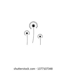 three dandelion flowers with curved sprig. Big bloom with big shabby petals. Isolated on white. Vector illustration. Eco style. Nature symbol.