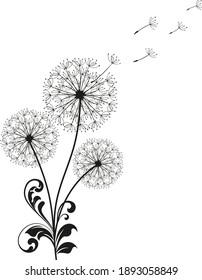 Three Dandelions with flying seeds. Card with abstract flowers, dandelions. The wind blows the seeds of a dandelion. Template for posters, wallpapers, posters.