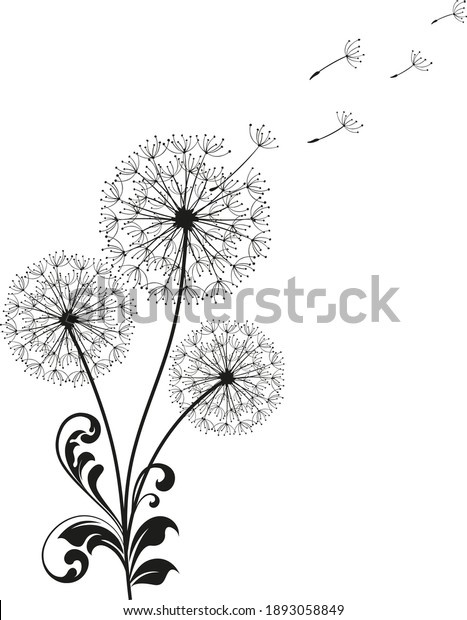 Three Dandelions with\
flying seeds. Card with abstract flowers, dandelions. The wind\
blows the seeds of a dandelion. Template for posters, wallpapers,\
posters.