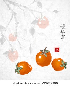 Three date-plum fruits with date-plum tree on background. Oriental ink painting sumi-e, u-sin, go-hua. Contains hieroglyph - happiness, wealth, blessed, well-being. 