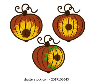 Three decorative pumpkins decorated with a sunflower flower. Vector illustration