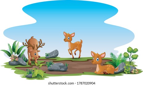 Three of deer playing on the field
