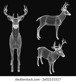 Three deer are shown in a black background. The deer are all standing upright and looking in different directions. The image has a calm and peaceful mood, as the deer are not in motion