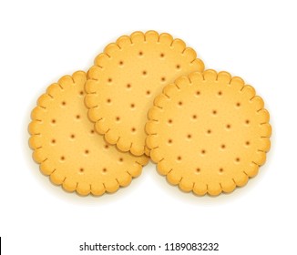 Three delicious round biscuit. Sweet cookie. Delicious cookies. Realistic cracker. Yummy crackers. Breakfest snack. Tasty food. Isolated white background. EPS10 vector illustration.