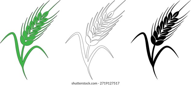 Tres representaciones de tallo de espiga de trigo con granos maduros mostrados en un dibujo de contorno verde brillante e íconos negros sólidos y crudos que ilustran la producción de cereales y la fuente de alimentos básicos.